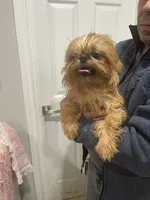 processed/aa179e58-b9b4-4e37-81f0-7732d9ea06f6/listing/53c83c18-696b-433e-b743-772cbe280831/48bda487-f591-4287-a155-c3ece8446c3a