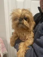 processed/aa179e58-b9b4-4e37-81f0-7732d9ea06f6/listing/53c83c18-696b-433e-b743-772cbe280831/ac8ca157-7e9c-4eda-a8ce-096dfe6ab13c