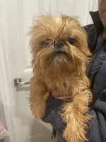 processed/aa179e58-b9b4-4e37-81f0-7732d9ea06f6/listing/53c83c18-696b-433e-b743-772cbe280831/f5350c6d-fd29-46bd-95d9-adbf02558716