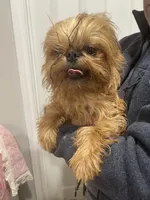 processed/aa179e58-b9b4-4e37-81f0-7732d9ea06f6/listing/53c83c18-696b-433e-b743-772cbe280831/fcd7dce2-7e27-445e-9e05-28d661719512