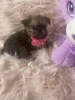 processed/aa179e58-b9b4-4e37-81f0-7732d9ea06f6/listing/8ba59b73-36cf-46a0-b2a7-37ab7f292bf1/3bab1698-7ba4-49f4-ba38-a3fc1762e1d4