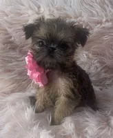 processed/aa179e58-b9b4-4e37-81f0-7732d9ea06f6/listing/8ba59b73-36cf-46a0-b2a7-37ab7f292bf1/53ff85bc-46a0-4df0-88c6-aae624b98d8d