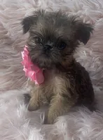 processed/aa179e58-b9b4-4e37-81f0-7732d9ea06f6/listing/8ba59b73-36cf-46a0-b2a7-37ab7f292bf1/6283b308-4245-4320-a262-cf213ec6ada1