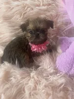 processed/aa179e58-b9b4-4e37-81f0-7732d9ea06f6/listing/8ba59b73-36cf-46a0-b2a7-37ab7f292bf1/8918eafe-5095-4214-8735-27d2dce18d83