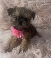 processed/aa179e58-b9b4-4e37-81f0-7732d9ea06f6/listing/8ba59b73-36cf-46a0-b2a7-37ab7f292bf1/e01b17e3-2f6f-4982-bc07-fd409e49fc7e