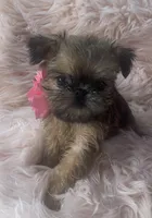 processed/aa179e58-b9b4-4e37-81f0-7732d9ea06f6/listing/8ba59b73-36cf-46a0-b2a7-37ab7f292bf1/e8dc8ab0-2b40-4c36-a08a-8cf0098f9cfb