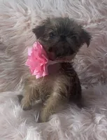 processed/aa179e58-b9b4-4e37-81f0-7732d9ea06f6/listing/8ba59b73-36cf-46a0-b2a7-37ab7f292bf1/faff780f-0c7b-48ee-b312-b005a0c35601