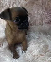 processed/aa179e58-b9b4-4e37-81f0-7732d9ea06f6/listing/c9ca0396-4208-44c1-8839-84f6fe44db77/0f4a769e-4ac5-4df6-aa81-e1f2ed3f1983