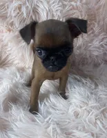 processed/aa179e58-b9b4-4e37-81f0-7732d9ea06f6/listing/c9ca0396-4208-44c1-8839-84f6fe44db77/13cb7124-e371-417b-8a85-5f3bda163789