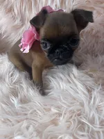 processed/aa179e58-b9b4-4e37-81f0-7732d9ea06f6/listing/c9ca0396-4208-44c1-8839-84f6fe44db77/3006dc75-fec9-4e70-b5c0-09627e16d3ae