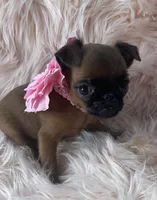 processed/aa179e58-b9b4-4e37-81f0-7732d9ea06f6/listing/c9ca0396-4208-44c1-8839-84f6fe44db77/44ac5449-e3e3-4a04-8dfd-32d0372e618e