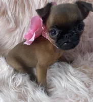 processed/aa179e58-b9b4-4e37-81f0-7732d9ea06f6/listing/c9ca0396-4208-44c1-8839-84f6fe44db77/8ba39277-a23d-470c-ba80-53d2739e6d76