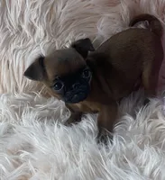 processed/aa179e58-b9b4-4e37-81f0-7732d9ea06f6/listing/c9ca0396-4208-44c1-8839-84f6fe44db77/f489527e-9a8d-4b34-ae8f-a5d512030e84