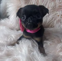 processed/aa179e58-b9b4-4e37-81f0-7732d9ea06f6/listing/d1b71a4a-05b0-46e0-a523-79c14bb6ed76/16737142-f084-4718-a375-14d891d2f40c