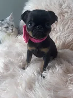 processed/aa179e58-b9b4-4e37-81f0-7732d9ea06f6/listing/d1b71a4a-05b0-46e0-a523-79c14bb6ed76/1c961f71-2067-45b5-983c-46749577b07f