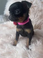 processed/aa179e58-b9b4-4e37-81f0-7732d9ea06f6/listing/d1b71a4a-05b0-46e0-a523-79c14bb6ed76/42a789ed-f327-4761-a153-263e3f6fb090