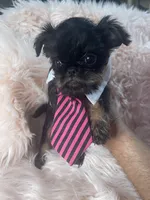 processed/aa179e58-b9b4-4e37-81f0-7732d9ea06f6/listing/e728c5cf-d208-45cf-88cf-531fdae6a8b4/09f2d48d-e910-4540-88c1-09371826859c