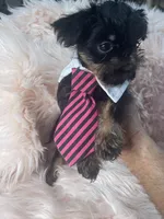 processed/aa179e58-b9b4-4e37-81f0-7732d9ea06f6/listing/e728c5cf-d208-45cf-88cf-531fdae6a8b4/142356fd-12e3-4096-a58c-b0e6c6e8f6b0