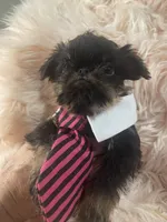 processed/aa179e58-b9b4-4e37-81f0-7732d9ea06f6/listing/e728c5cf-d208-45cf-88cf-531fdae6a8b4/31f3e284-9f9c-4930-b77c-6a002f17dcbb