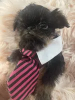 processed/aa179e58-b9b4-4e37-81f0-7732d9ea06f6/listing/e728c5cf-d208-45cf-88cf-531fdae6a8b4/620c29e8-7f88-44d9-978e-a1111454a005