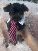 processed/aa179e58-b9b4-4e37-81f0-7732d9ea06f6/listing/e728c5cf-d208-45cf-88cf-531fdae6a8b4/6cae7e97-6fb5-4ea3-bf39-1b7330f89762