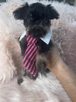 processed/aa179e58-b9b4-4e37-81f0-7732d9ea06f6/listing/e728c5cf-d208-45cf-88cf-531fdae6a8b4/8f7f0269-56ae-4ef9-9db9-0993d93e9432