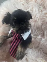 processed/aa179e58-b9b4-4e37-81f0-7732d9ea06f6/listing/e728c5cf-d208-45cf-88cf-531fdae6a8b4/afaae882-e8ff-4235-b76c-c630b5108f9a