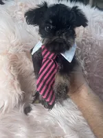 processed/aa179e58-b9b4-4e37-81f0-7732d9ea06f6/listing/e728c5cf-d208-45cf-88cf-531fdae6a8b4/b74550d1-cf44-4808-91d3-372cf65219fe