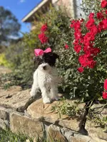 processed/aa305656-bae8-4780-ba11-423e6c943b5b/listing/32b0b162-a0f2-4696-9503-fd13aa38dfd4/49a5cdbf-6498-453e-91c0-4f5d1888674f