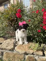 processed/aa305656-bae8-4780-ba11-423e6c943b5b/listing/32b0b162-a0f2-4696-9503-fd13aa38dfd4/838caeb8-3edf-4870-ab16-63d0cc62706b