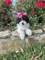 processed/aa305656-bae8-4780-ba11-423e6c943b5b/listing/32b0b162-a0f2-4696-9503-fd13aa38dfd4/da9eb43a-ccf2-4db2-aa6c-2e4a105f26c9