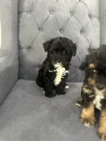 processed/aa305656-bae8-4780-ba11-423e6c943b5b/listing/6d52ea18-dbad-4a74-a7fe-74f6fb24fe49/449d94a8-62f5-4bdd-8164-ec945207897c