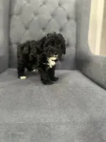 processed/aa305656-bae8-4780-ba11-423e6c943b5b/listing/6d52ea18-dbad-4a74-a7fe-74f6fb24fe49/51eb5df9-439e-4e2f-bb1a-1e7588951ddc