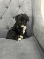 processed/aa305656-bae8-4780-ba11-423e6c943b5b/listing/6d52ea18-dbad-4a74-a7fe-74f6fb24fe49/556fb56c-27f1-4f6a-a4af-fc9e368237a8