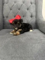 processed/aa305656-bae8-4780-ba11-423e6c943b5b/listing/7246517f-007b-42e7-aaec-4a861d1ad2b5/688dd9ce-87d3-4ada-bb9f-b83ed7975d66