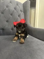 processed/aa305656-bae8-4780-ba11-423e6c943b5b/listing/7246517f-007b-42e7-aaec-4a861d1ad2b5/8b93838b-1d6a-4e79-9656-e8ec004f7618