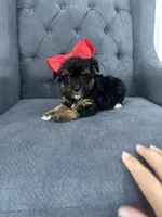 processed/aa305656-bae8-4780-ba11-423e6c943b5b/listing/7246517f-007b-42e7-aaec-4a861d1ad2b5/92cd5ace-2518-4de5-90d7-108e08f9e028