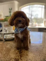 processed/aa305656-bae8-4780-ba11-423e6c943b5b/listing/7246517f-007b-42e7-aaec-4a861d1ad2b5/9c10a1fc-5869-4656-8746-e72377a89a6b