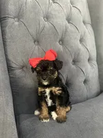 processed/aa305656-bae8-4780-ba11-423e6c943b5b/listing/7246517f-007b-42e7-aaec-4a861d1ad2b5/e4c73fde-85de-4e6d-9cfc-63f8a630d955