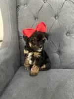 processed/aa305656-bae8-4780-ba11-423e6c943b5b/listing/7246517f-007b-42e7-aaec-4a861d1ad2b5/f4fd2f87-202f-4910-8d25-e11c1e77d77e