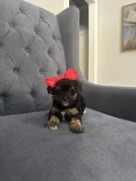 processed/aa305656-bae8-4780-ba11-423e6c943b5b/listing/7246517f-007b-42e7-aaec-4a861d1ad2b5/f65a6222-9f7a-467b-b0b1-bd6ddfe56f34