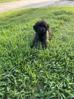 processed/aa305656-bae8-4780-ba11-423e6c943b5b/listing/7599ea99-2955-45d8-b5fd-c6f4f298cc54/025df960-2fe0-46b6-8c94-aa213816cfda