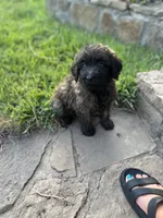 processed/aa305656-bae8-4780-ba11-423e6c943b5b/listing/7599ea99-2955-45d8-b5fd-c6f4f298cc54/0d39b3f9-9dbb-464c-8c4d-ac8e9016520e