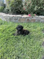 processed/aa305656-bae8-4780-ba11-423e6c943b5b/listing/7599ea99-2955-45d8-b5fd-c6f4f298cc54/28f98dc6-0625-4dcb-a571-9f5633dd7b9f