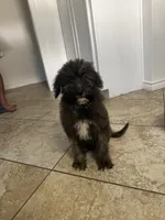 processed/aa305656-bae8-4780-ba11-423e6c943b5b/listing/7599ea99-2955-45d8-b5fd-c6f4f298cc54/2ea3de85-281c-4d88-9381-b8e30a20fffa