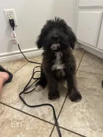 processed/aa305656-bae8-4780-ba11-423e6c943b5b/listing/7599ea99-2955-45d8-b5fd-c6f4f298cc54/5286990e-b243-439a-80f9-5b17889d0d11