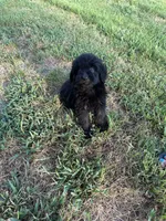 processed/aa305656-bae8-4780-ba11-423e6c943b5b/listing/7599ea99-2955-45d8-b5fd-c6f4f298cc54/96700511-ef76-4b8b-9d67-2f0d1cb46fcd