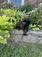 processed/aa305656-bae8-4780-ba11-423e6c943b5b/listing/7599ea99-2955-45d8-b5fd-c6f4f298cc54/a5d03a91-813d-4869-a40e-972627c8821e