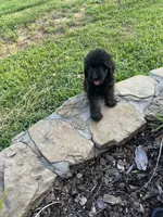 processed/aa305656-bae8-4780-ba11-423e6c943b5b/listing/7599ea99-2955-45d8-b5fd-c6f4f298cc54/b40c6efd-06ce-4cec-bebf-d54c5d8eb53d