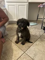 processed/aa305656-bae8-4780-ba11-423e6c943b5b/listing/7599ea99-2955-45d8-b5fd-c6f4f298cc54/f1876397-5b40-4588-8f64-9844050e123b